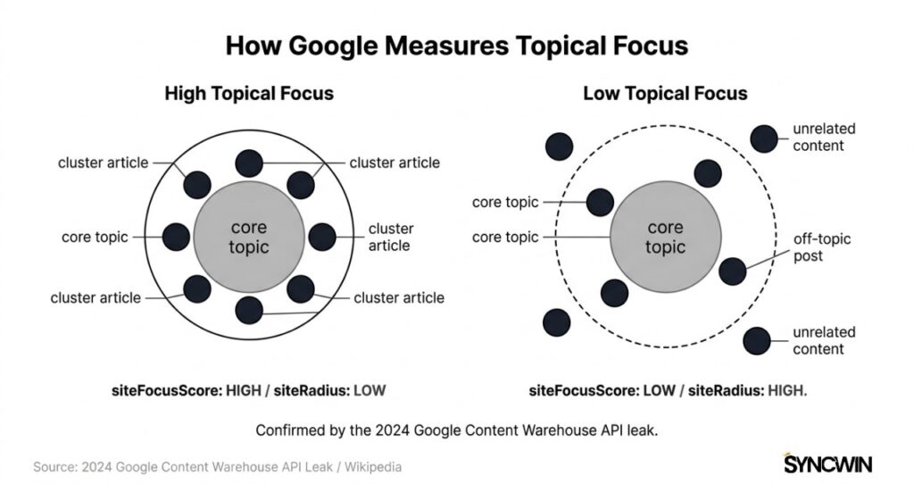 Google's Internal Topical Focus Metrics - Infographic - SyncWin